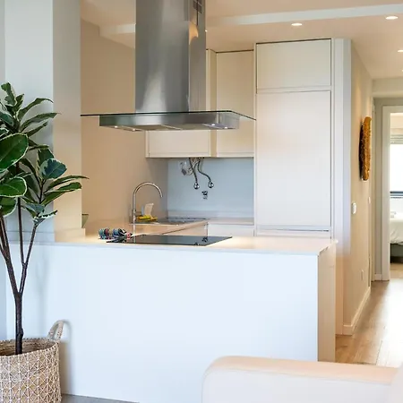 The Vista Apartment